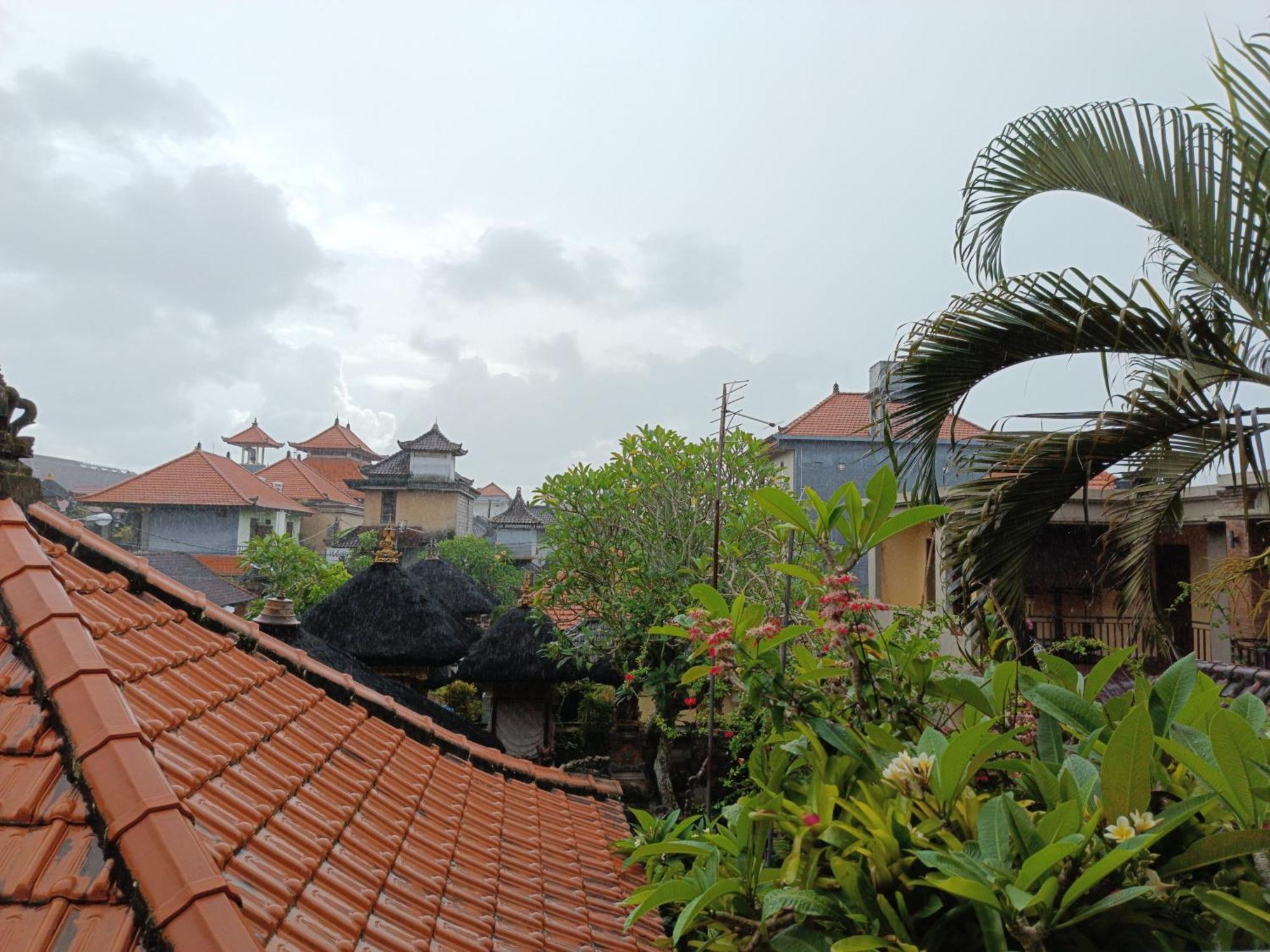Nyoman House Ubud Zewnętrze zdjęcie
